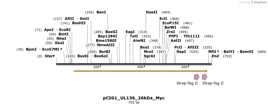 145756_map