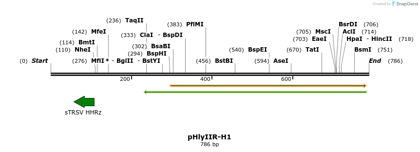 145759_map