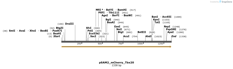145761_map