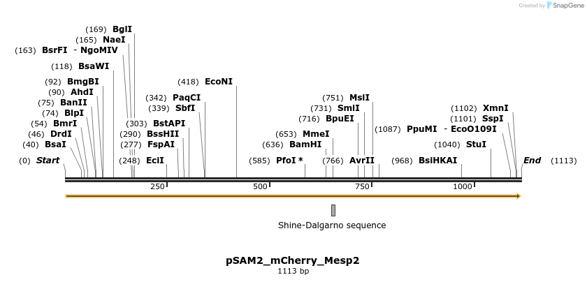 145770_map