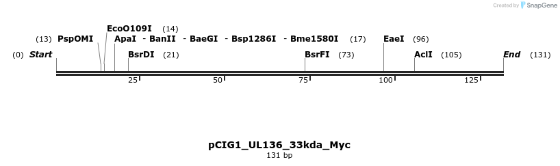 145771_map
