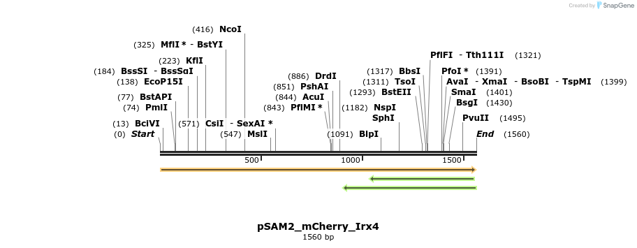 145773_map