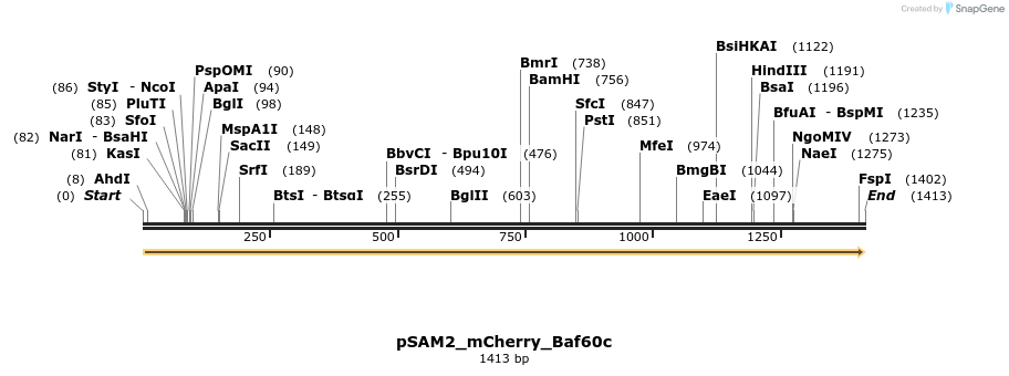 145776_map