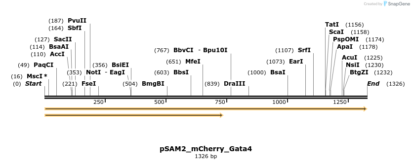 145778_map