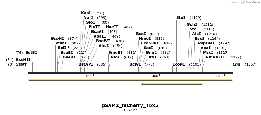 145782_map