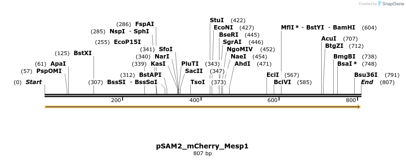 145784_map