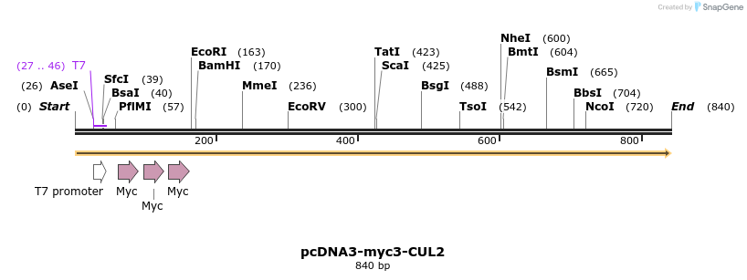 145787_map