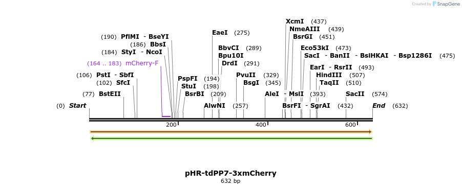 145803_map