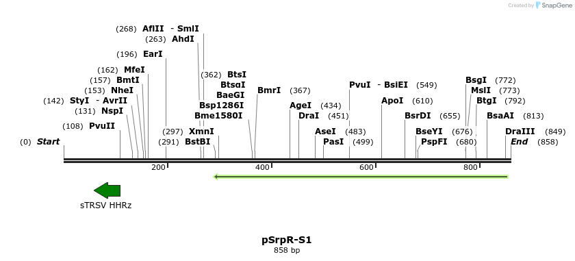 145809_map