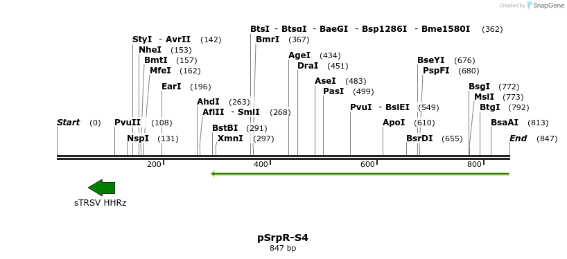 145810_map