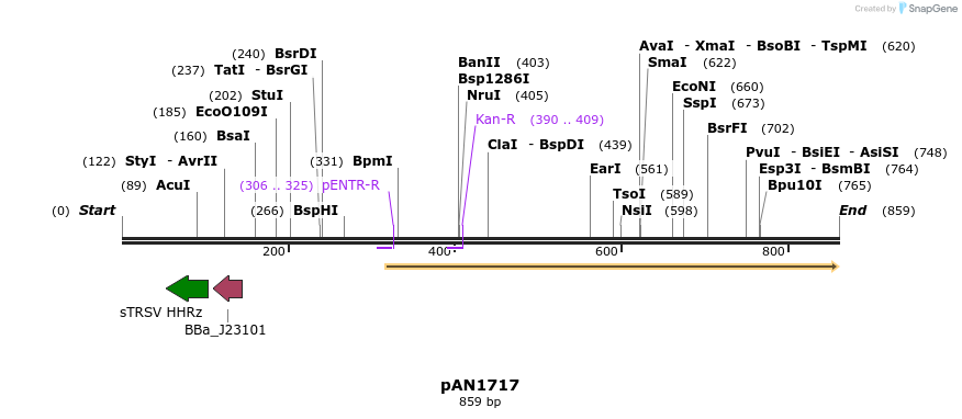 145812_map