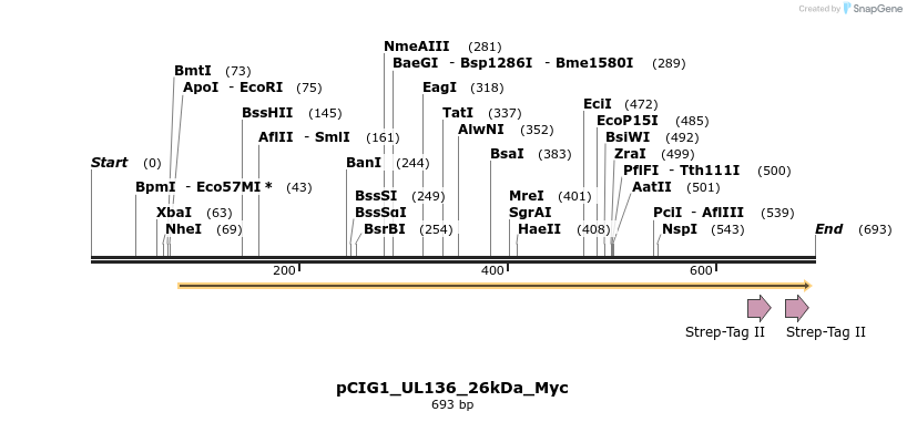 145814_map