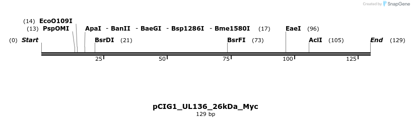 145815_map