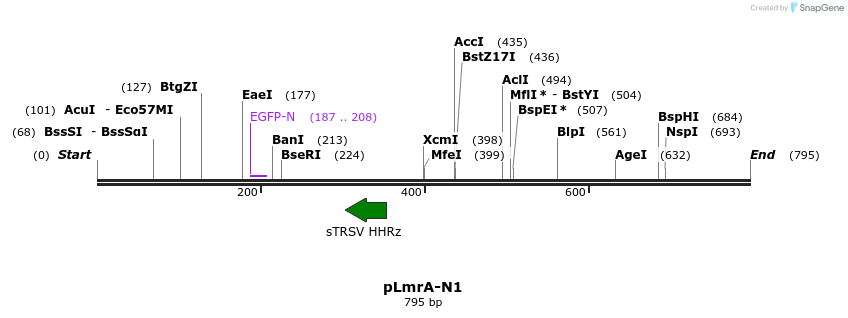 145816_map