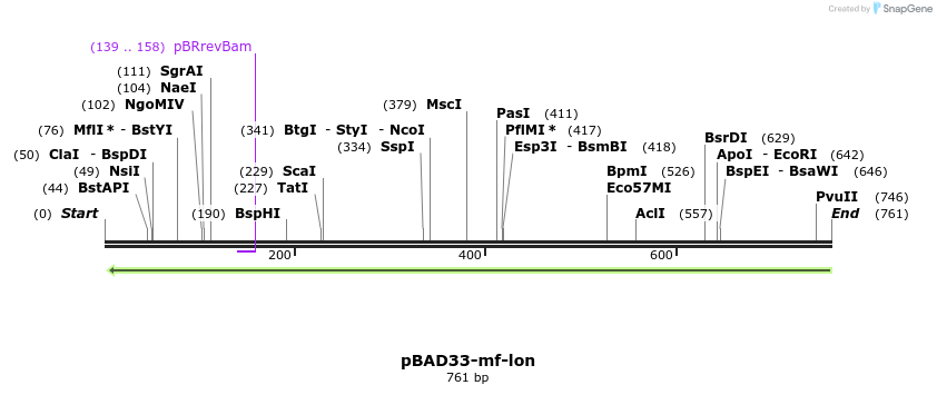 145817_map