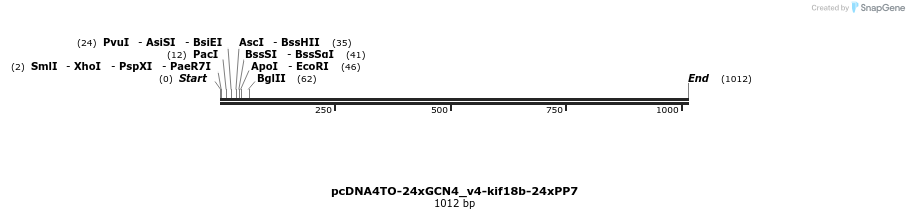 145819_map