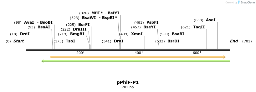145823_map