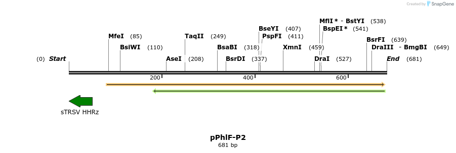 145824_map