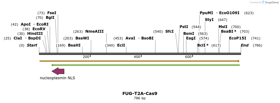 145827_map