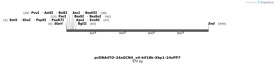 145829_map