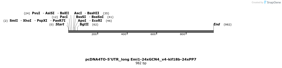 145833_map