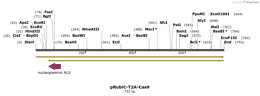 145835_map