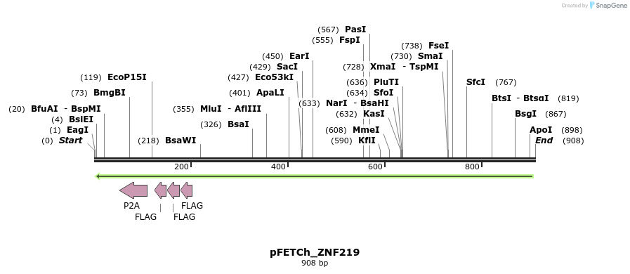 145836_map