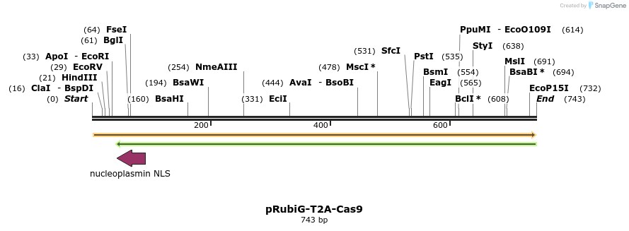 145839_map