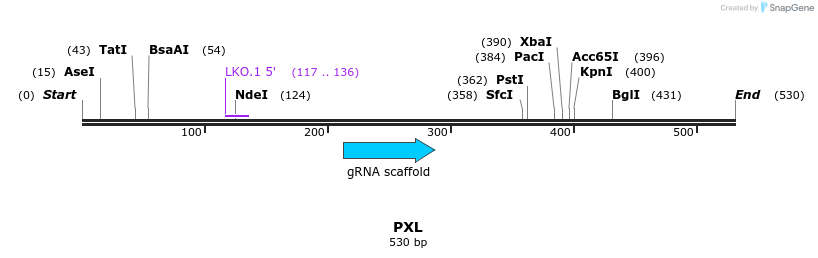 145848_map