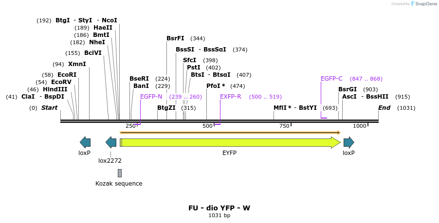 145851_map