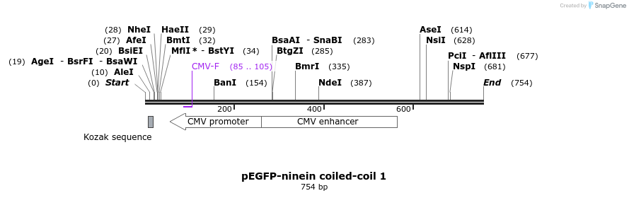 145860_map