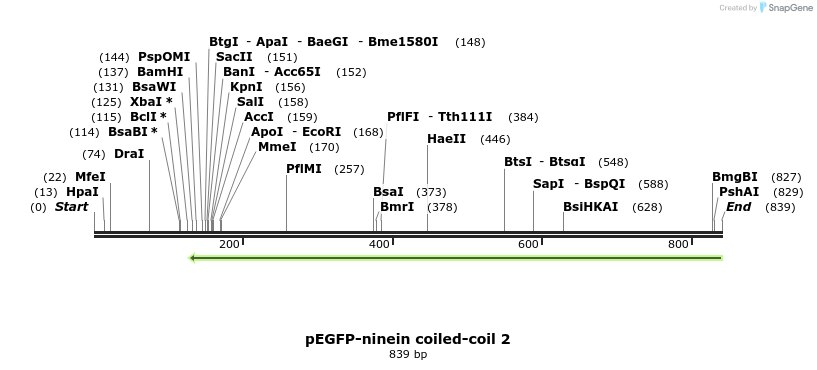 145862_map