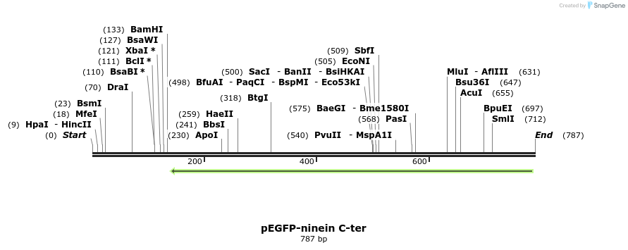 145863_map