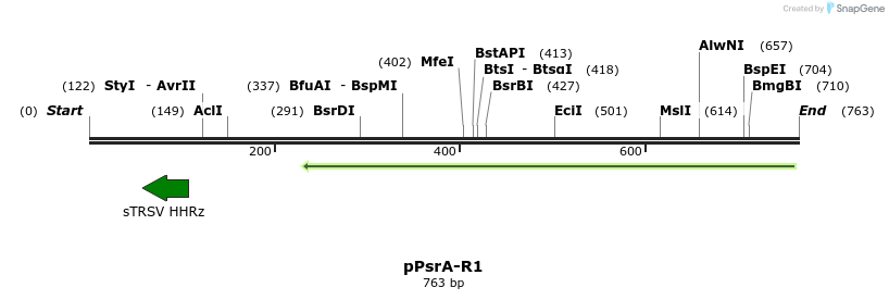 145864_map