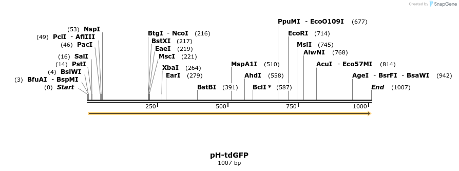 145889_map