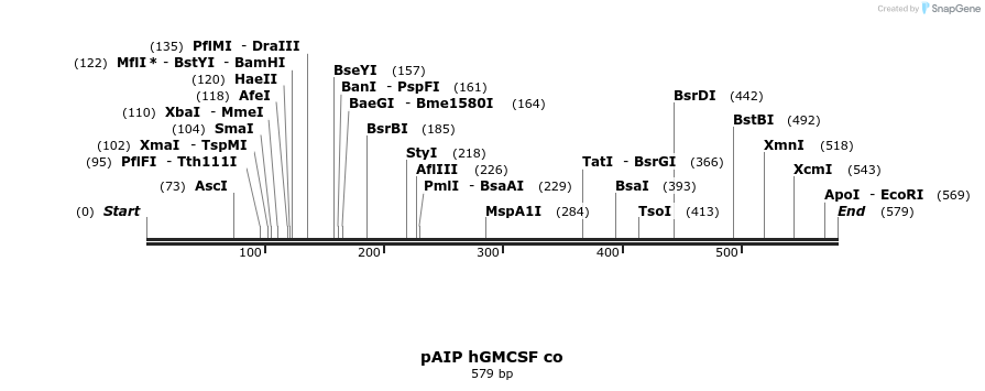 145895_map