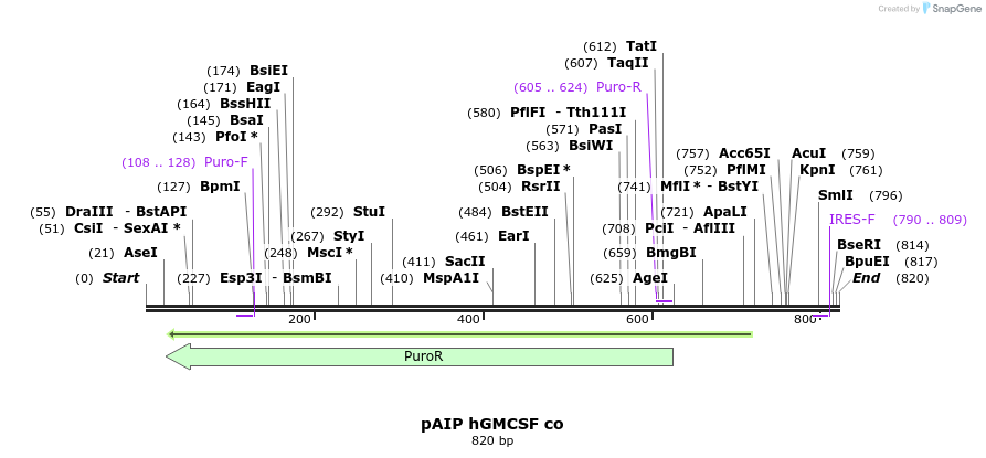145896_map