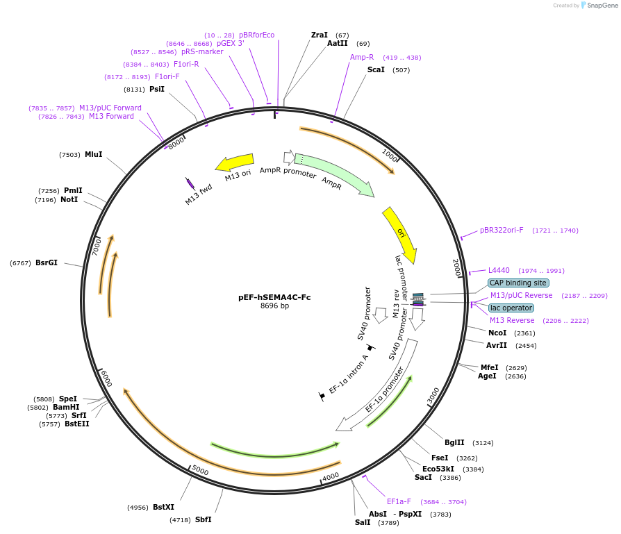 145903_map