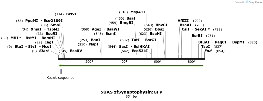 145909_map