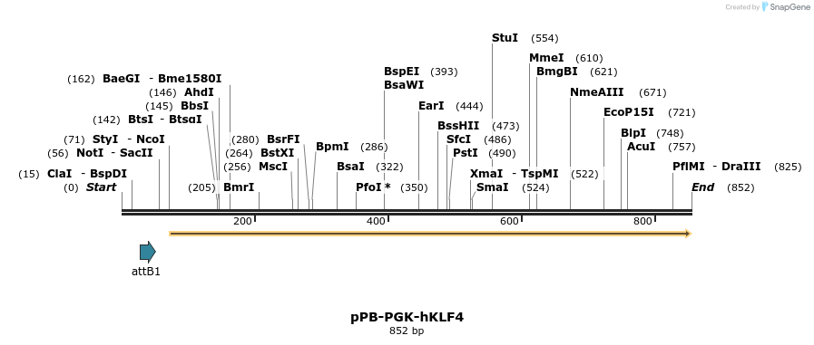 145911_map