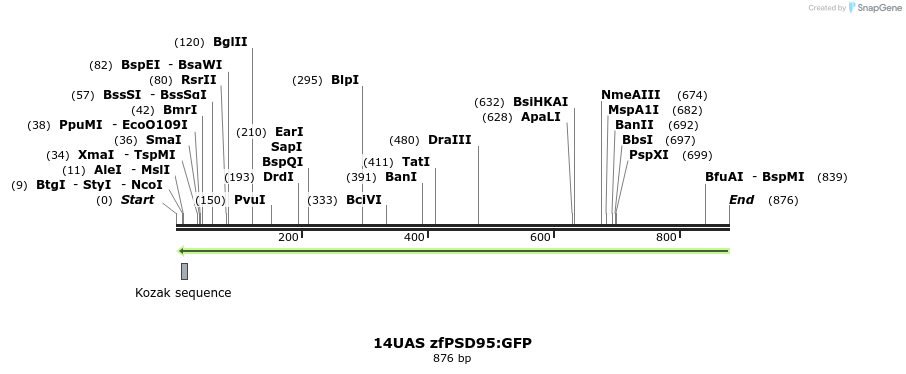145913_map