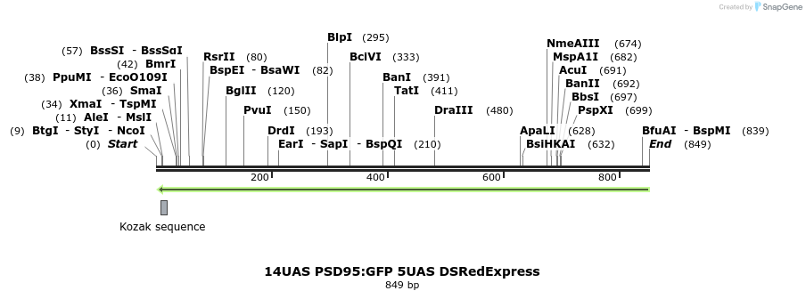 145914_map