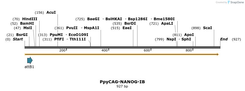 145915_map