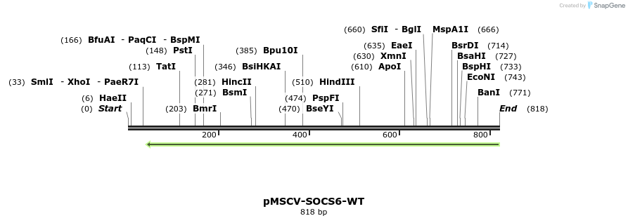 145926_map