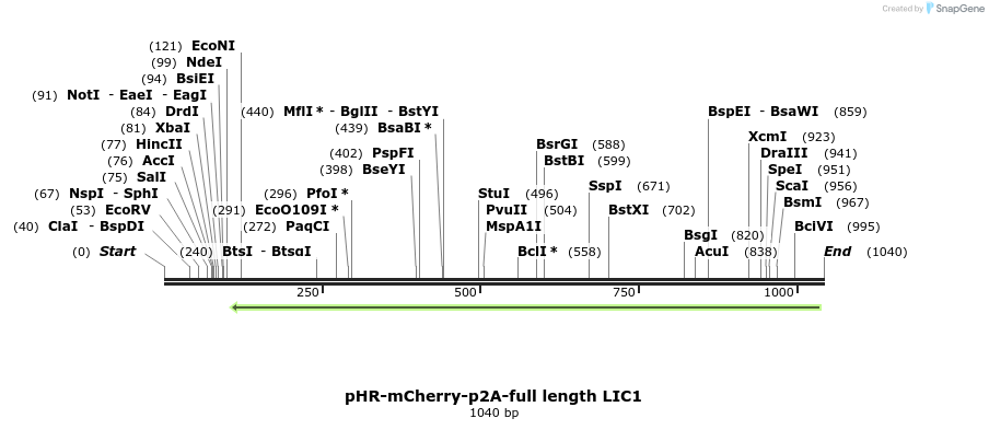 145929_map