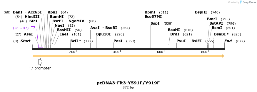 145930_map