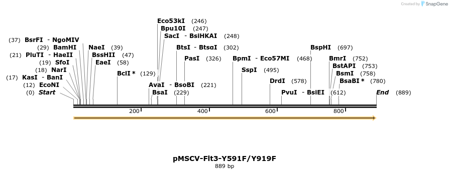 145931_map