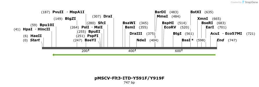 145939_map