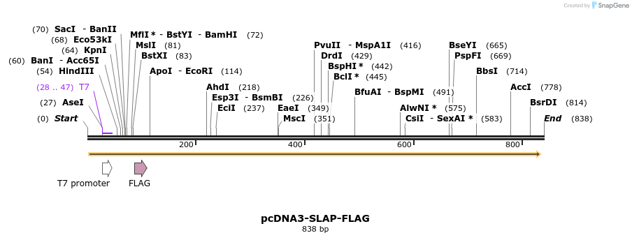 145949_map