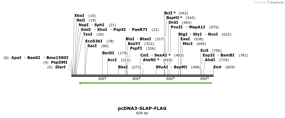 145950_map